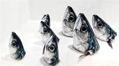 fish oil vs fish liver oil|Cod liver oil vs. fish oil.